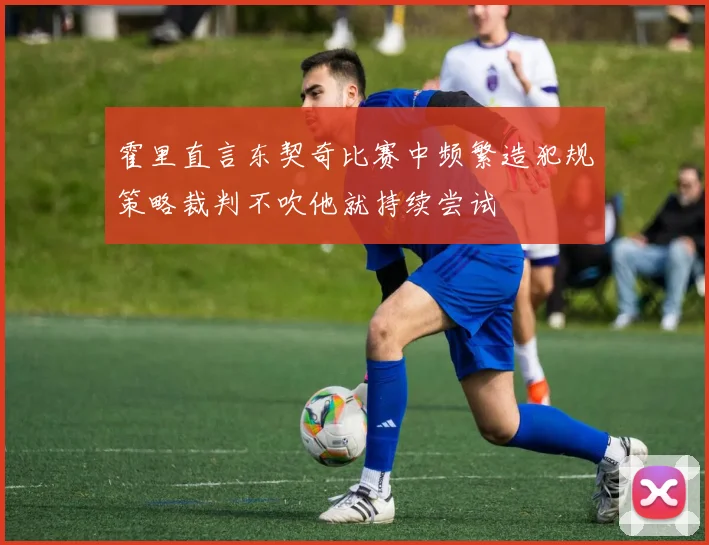 霍里直言东契奇比赛中频繁造犯规策略裁判不吹他就持续尝试